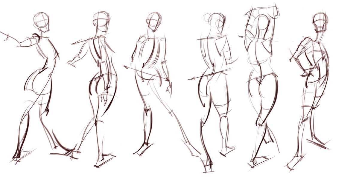 Animal Which Type Of Sketch Focuses On Figure Drawing for Adult