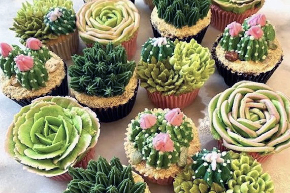 Succulent Cupcakes 2