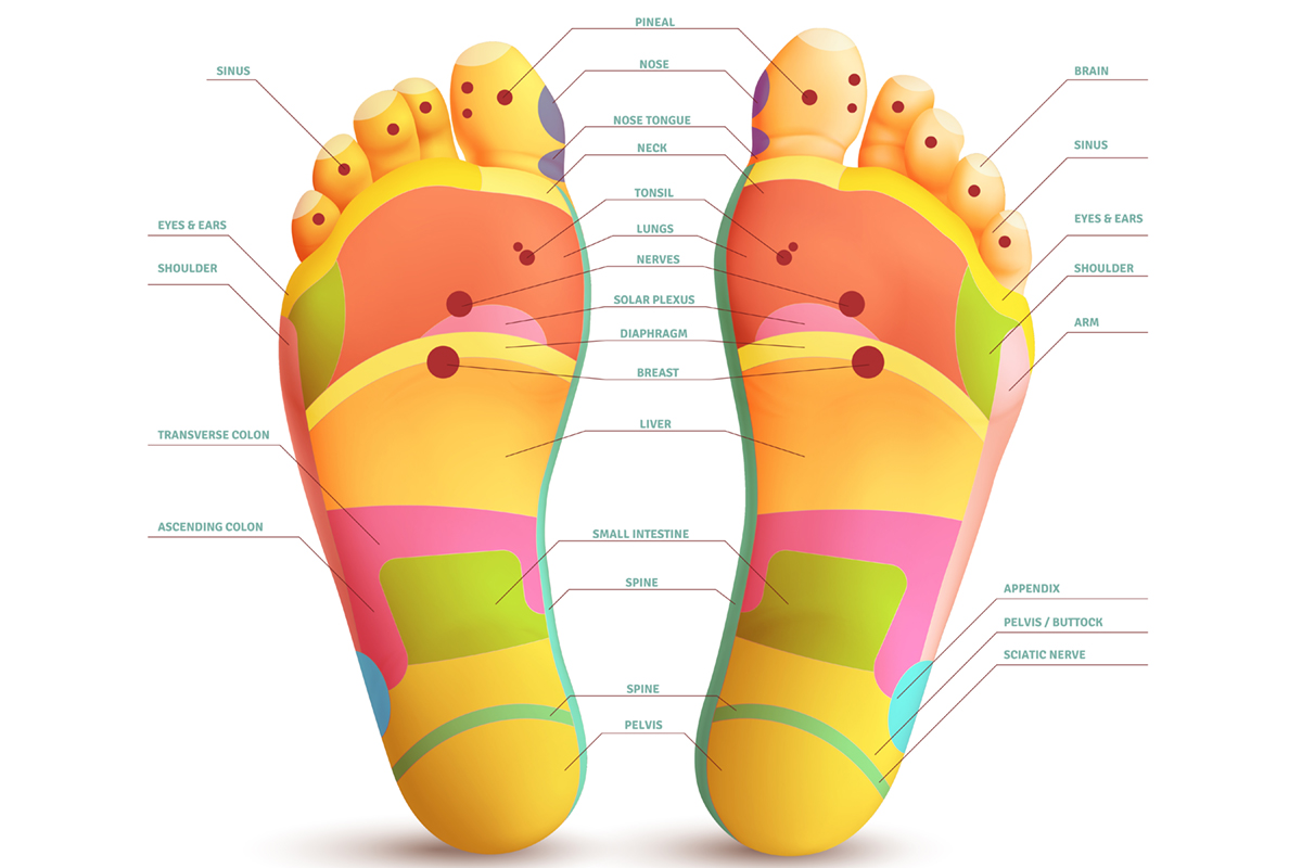 Feet Massage Points Infographics